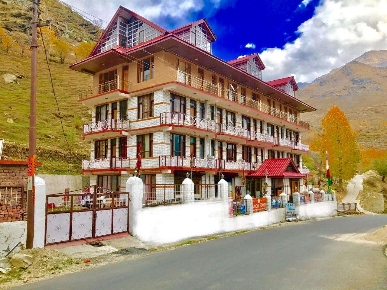 Plm Dhara Hotel - Manali (Himachal Pradesh), Manali